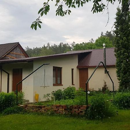 Willa Letnisko Wiolinkowo Sarnaki Zewnętrze zdjęcie