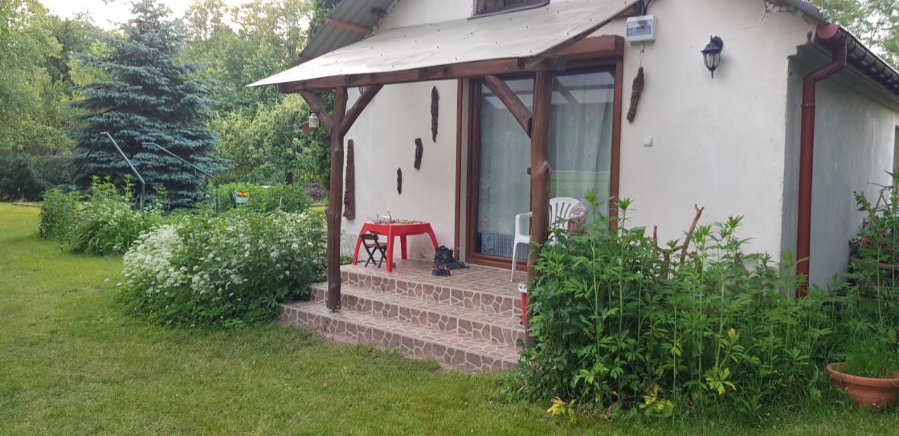 Willa Letnisko Wiolinkowo Sarnaki Zewnętrze zdjęcie