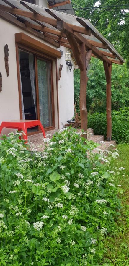 Willa Letnisko Wiolinkowo Sarnaki Zewnętrze zdjęcie